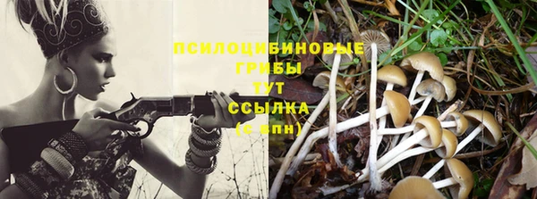 экстази Аркадак